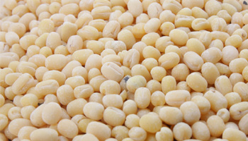 Urad dal 