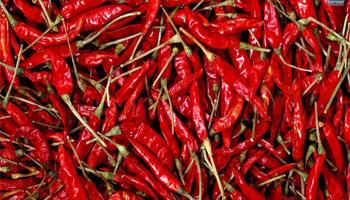 Chillies