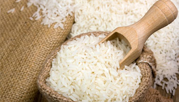 Rice