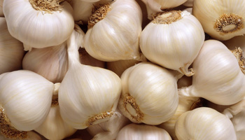  Garlic