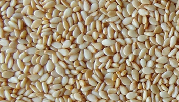  Sesame seeds